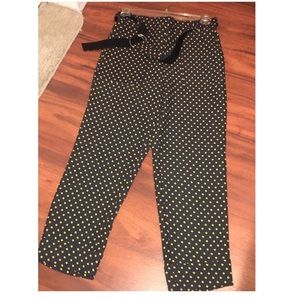 Ann Taylor Polka Dot Pants